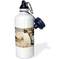 21oz Sports Water Bottle K676