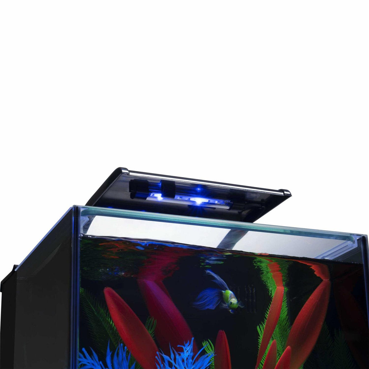 3 Gallons Aquarium Kit with LED Lighting and Filter H209