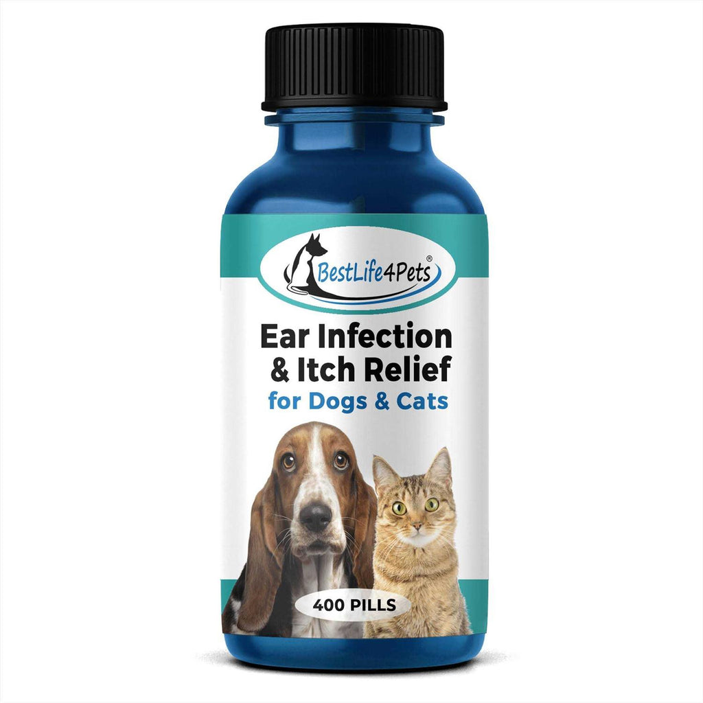 Holistic Ear Infection Treatment for Dogs and Cats U556