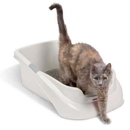 Litter Pan F28498