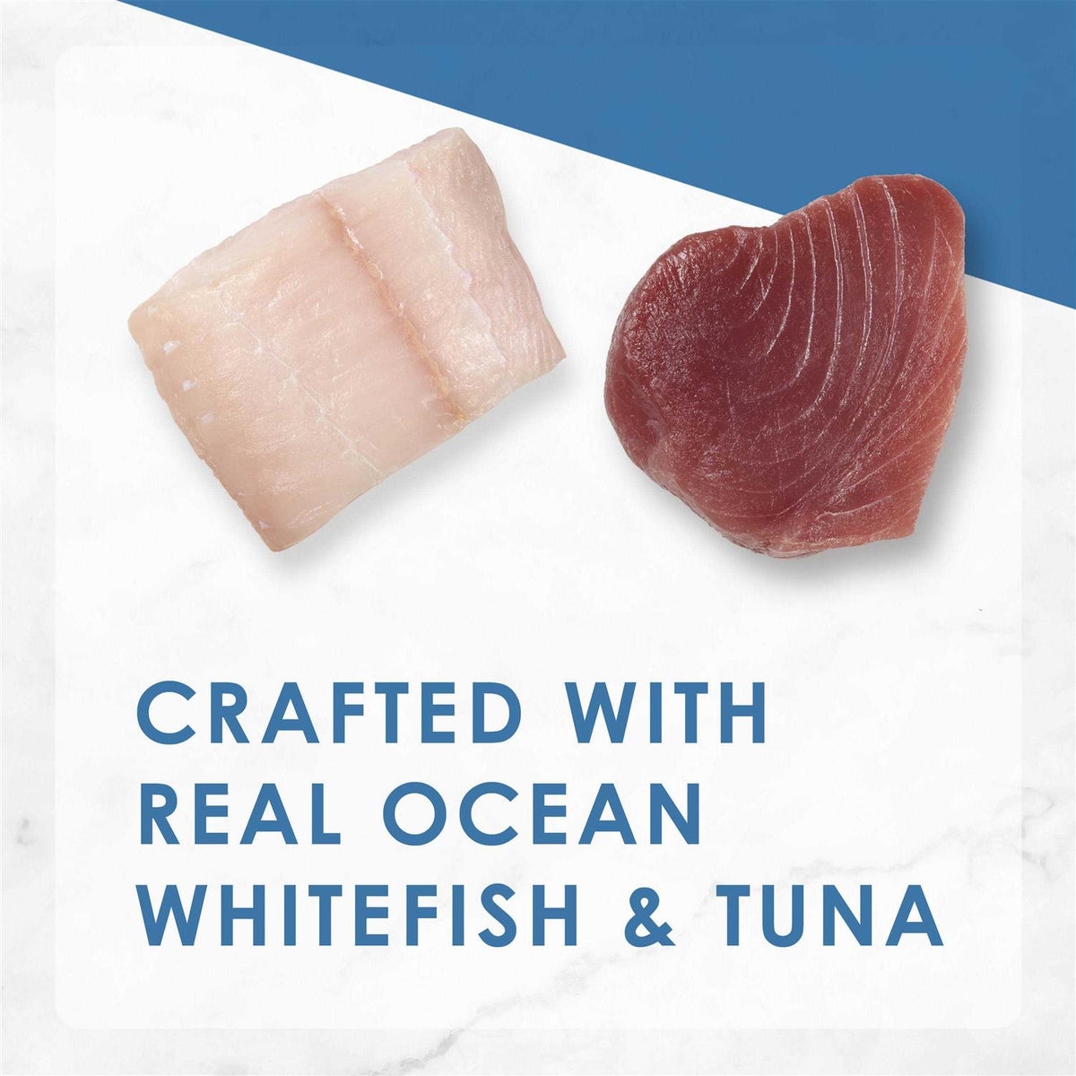 Ocean Whitefish & Tuna Wet Cat Food H77887