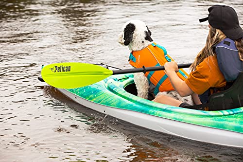 Standard Kayak Paddle with Aluminum Shaft and Polypropylene Blade N416