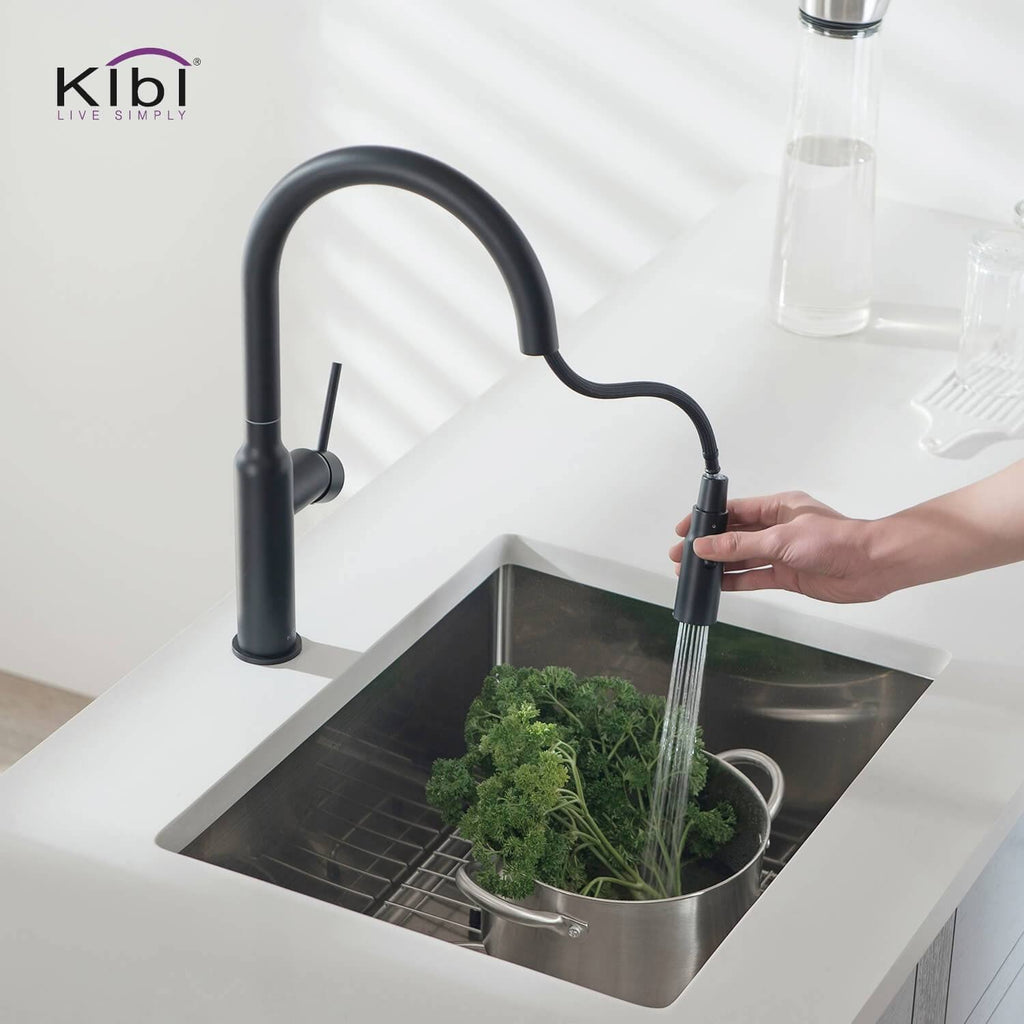 Black Single Level Kitchen Faucet with Sprayer Y741