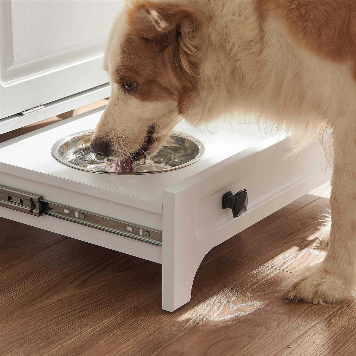 Modern Pet Feeding Station with 2 Elevated Dog Bowls S362