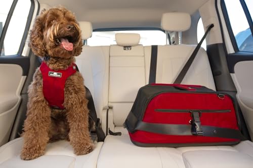 Airline Approved Pet Carrier for Cats and Dogs up to 18 lbs (Strawberry Red) U35686
