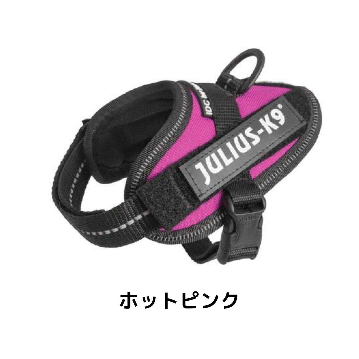 Powerharness C529