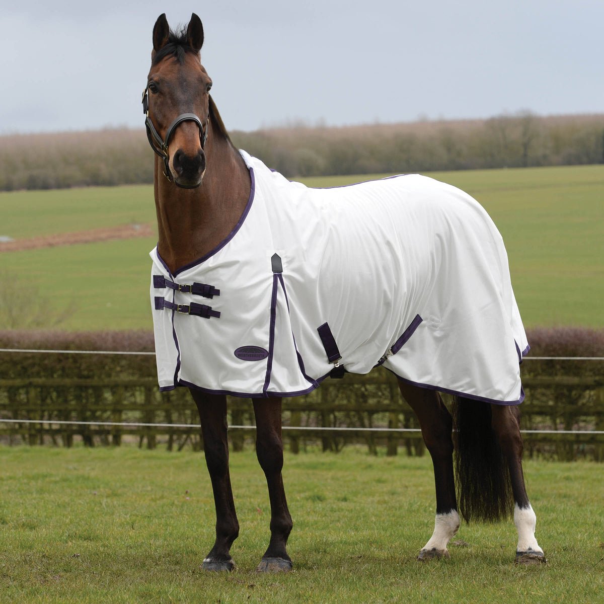 Mesh Standard Neck Fly Sheet R635