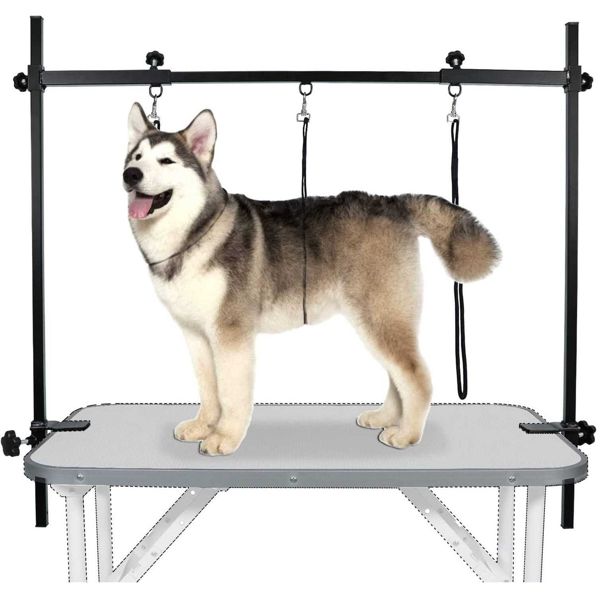 Dog Grooming Table Arm with 3 Noose and Clamp D2665