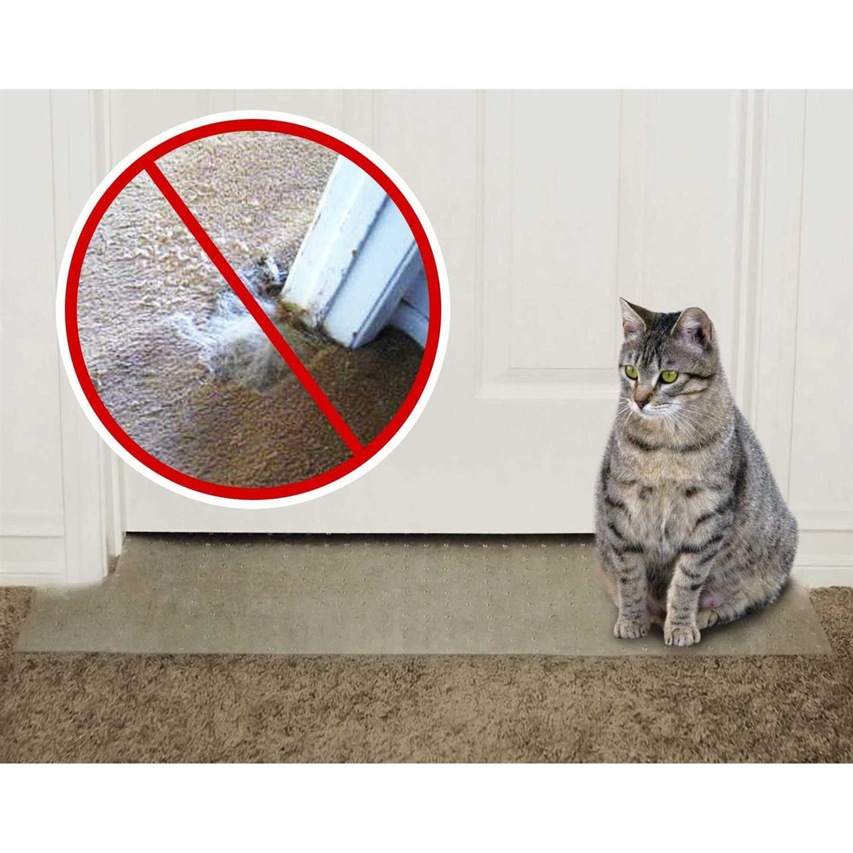 Carpet Scratch Stopper C143560