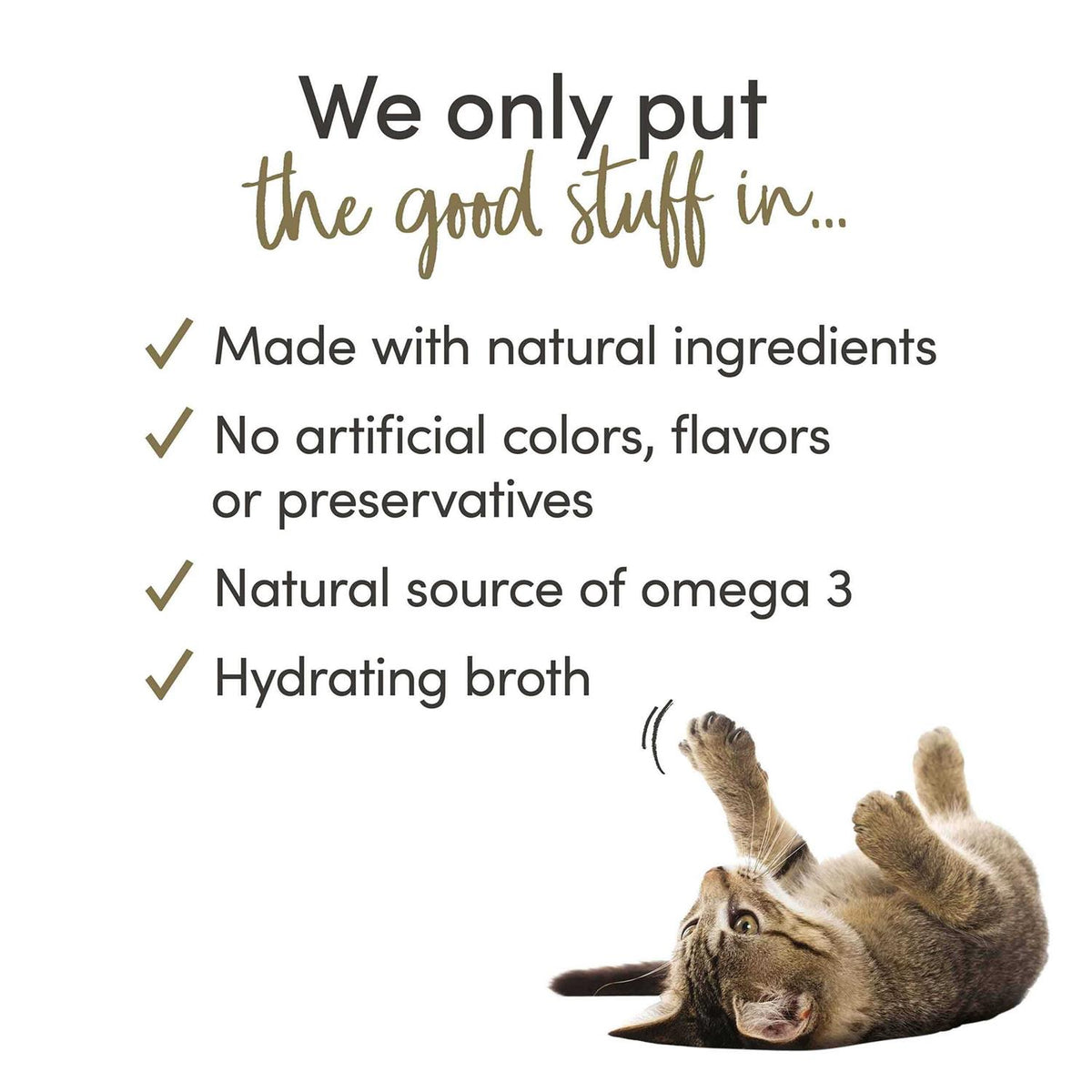 Wet Cat Food T650213