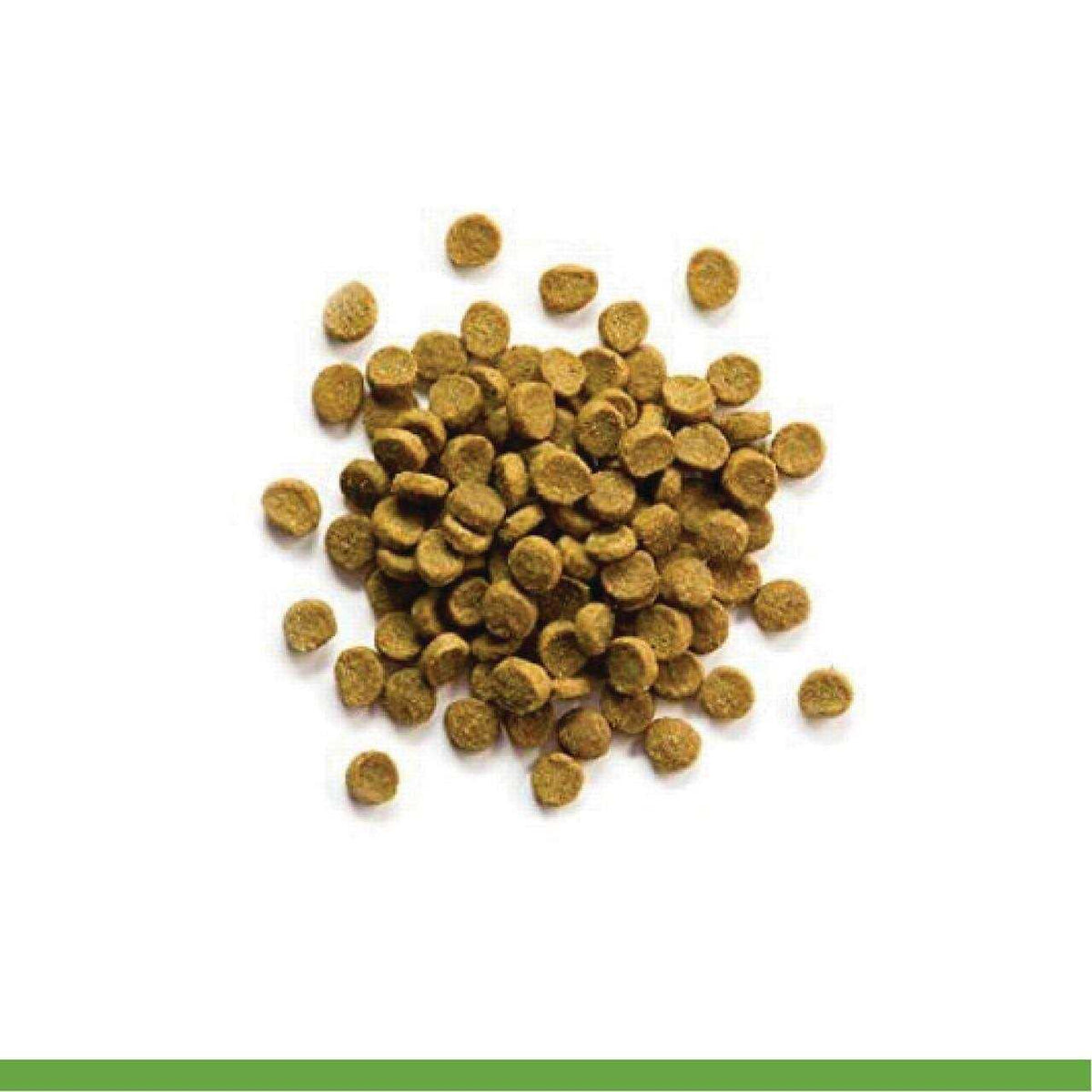 Premium Ferret Diet S971816