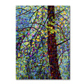 Canvas Art K259