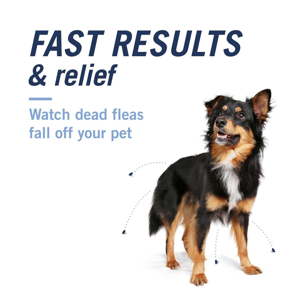 Flea & Tick Capsules F7036