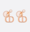 Earrings F61022