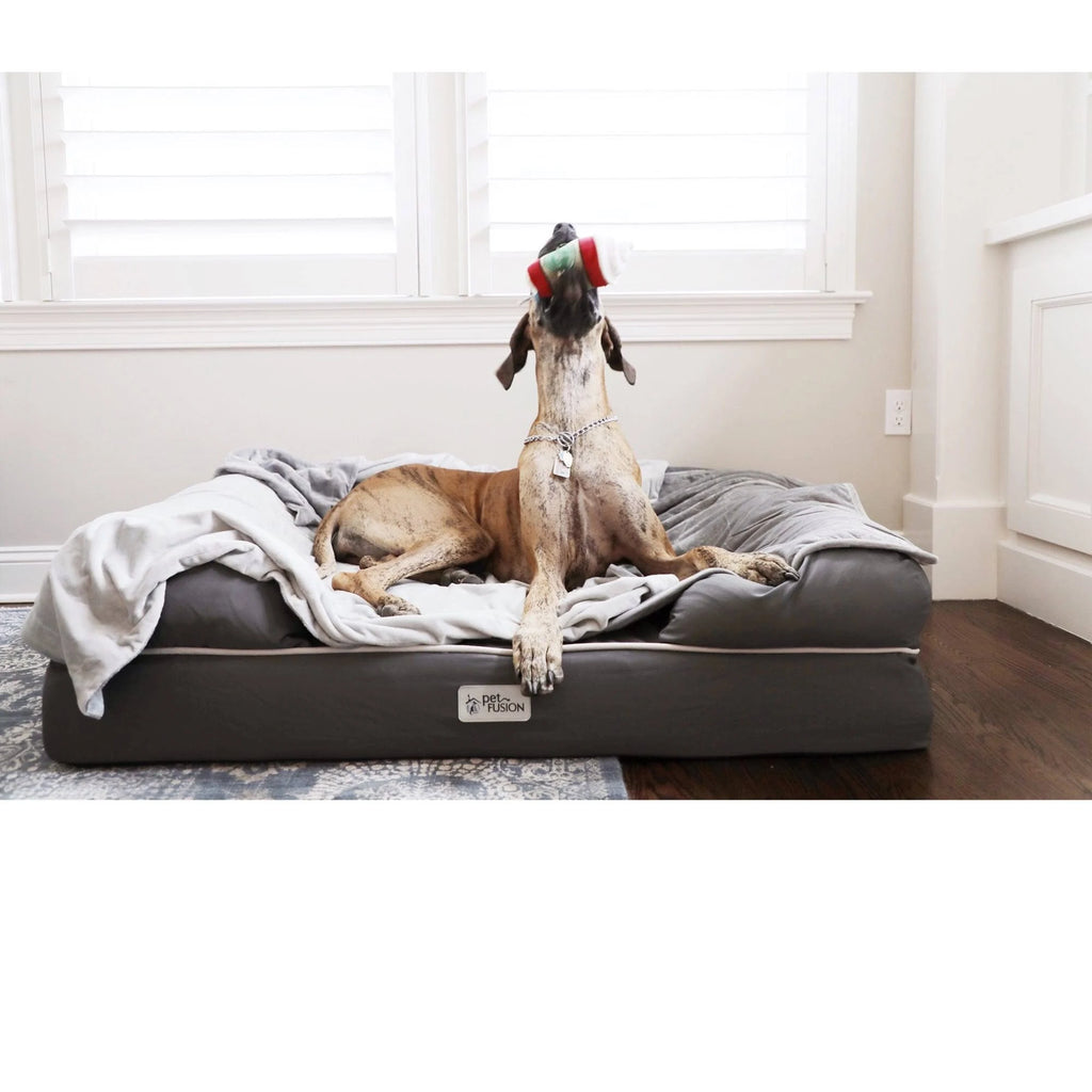 Solid Memory Foam Dog & Cat Bed, Gray, Jumbo I3737
