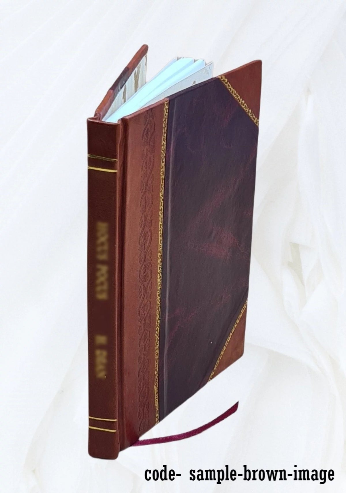 1851 Leather Bound Book K694407