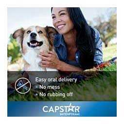 Flea Tablets for Dogs X1419