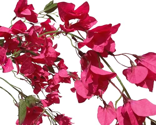 Fuchsia Artificial Silk Hanging Flowers Pack of 2 V83867