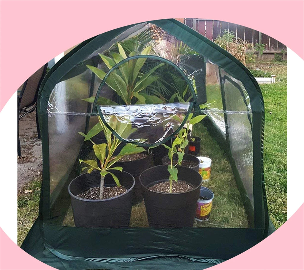 Mini Portable Greenhouse Pop up Grow House W36272