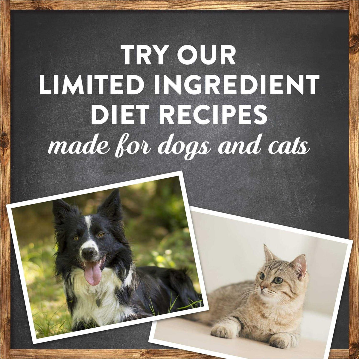 Grain Free Salmon Sweet Potato Dry Dog Food E85455