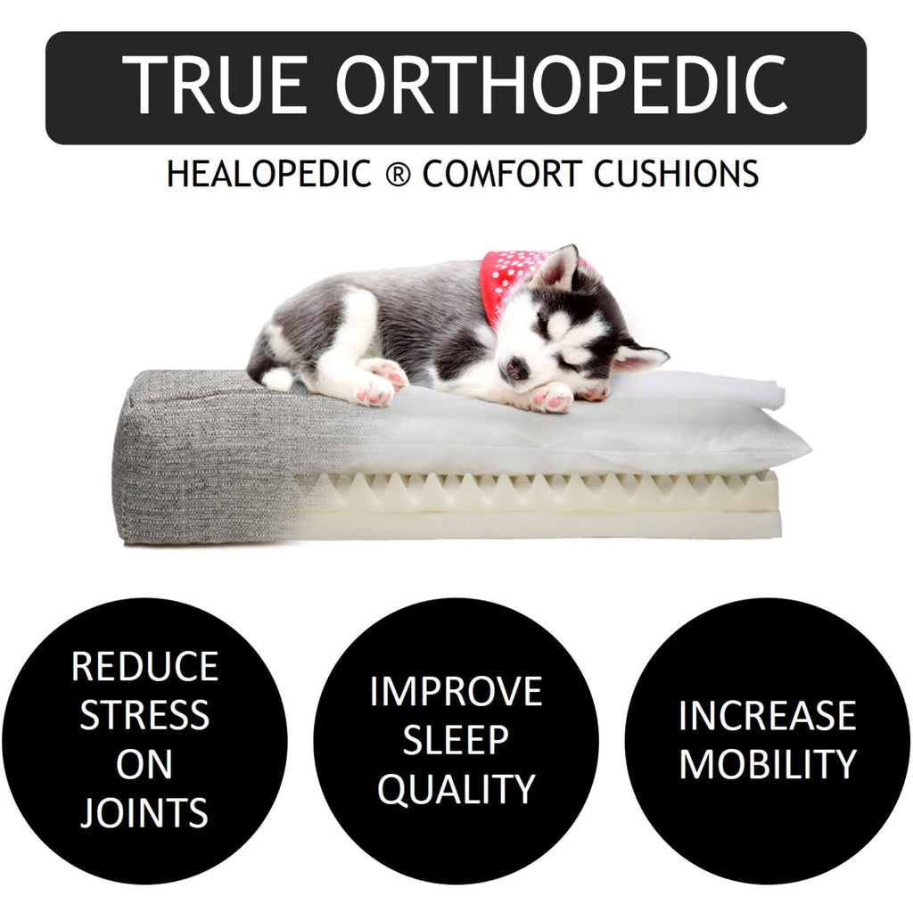 Ivory Orthopedic Dog Bed A816552