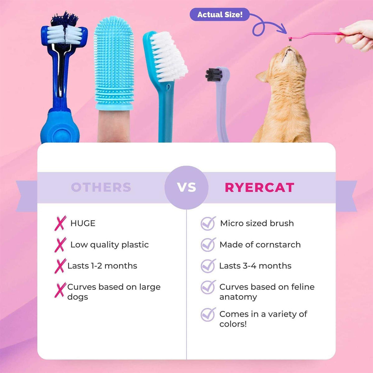 Dual Sided Cat Toothbrush X903957