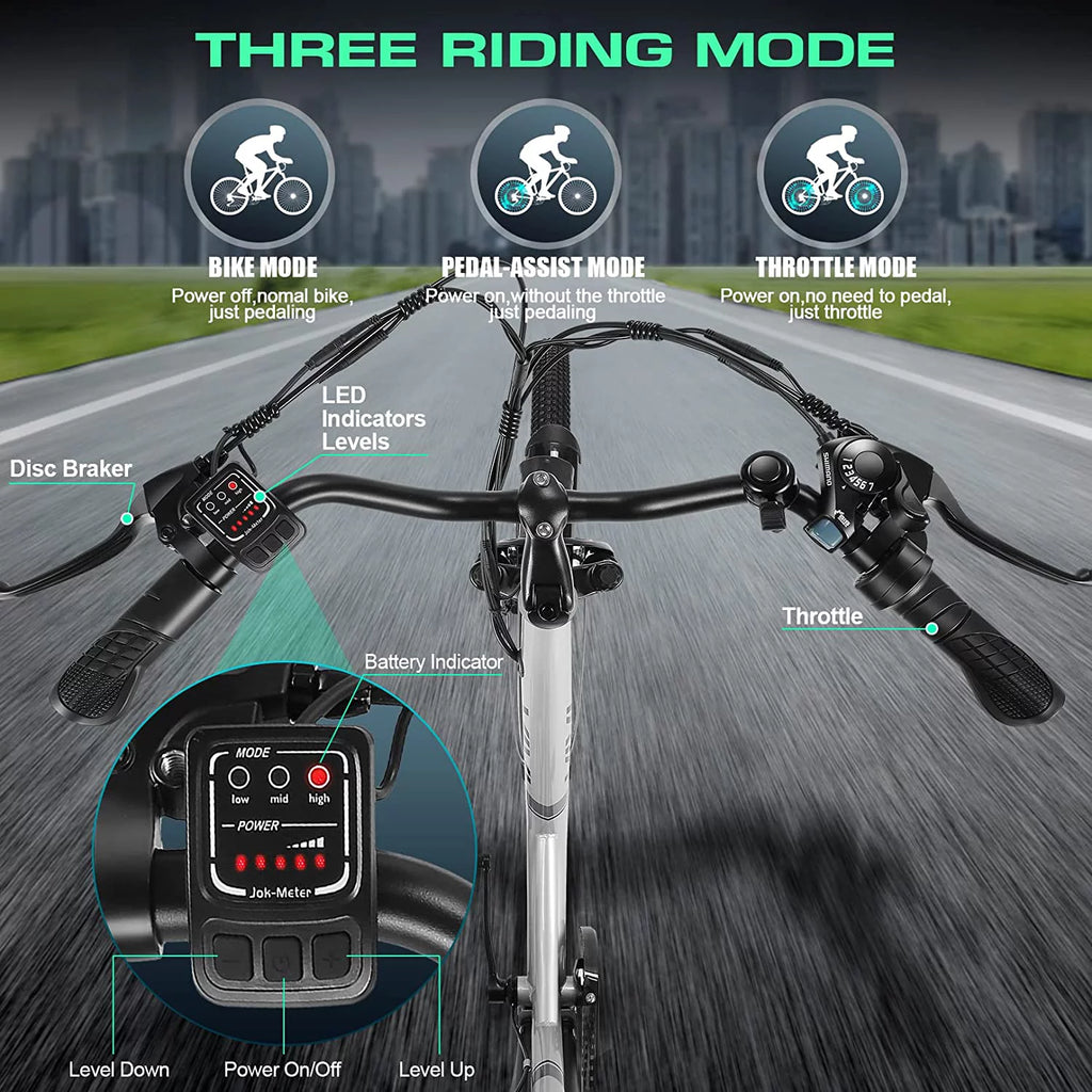 26'' 500W Electric Bike with 48V Removable Battery R643694