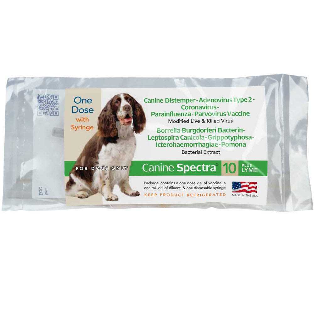 1 Dose Dog Vaccine Q809