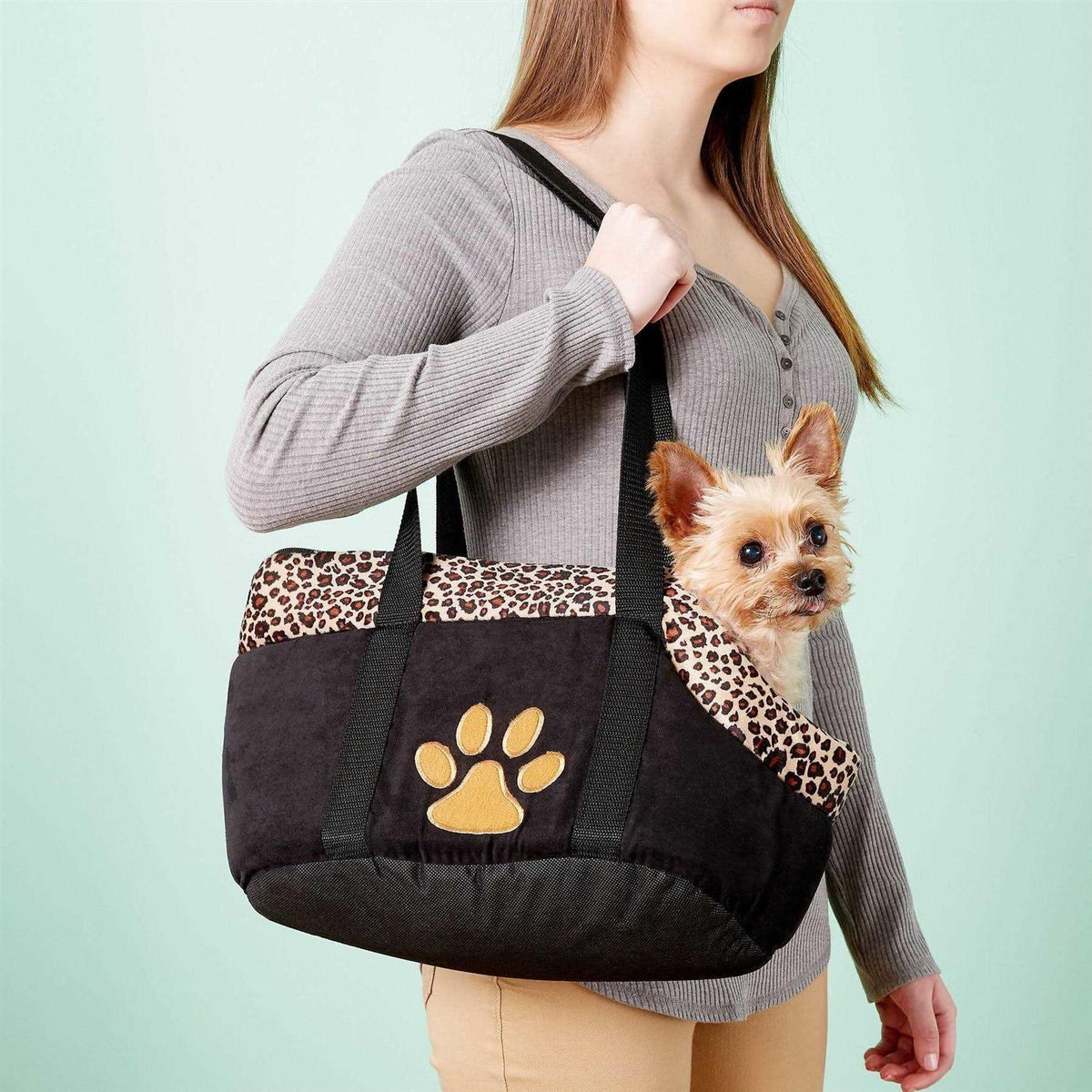 Small Pet Carrier C149553