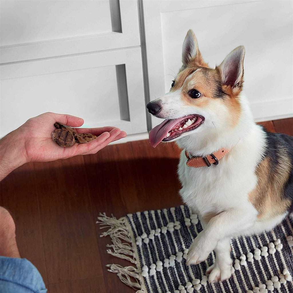Dog Treats X40179