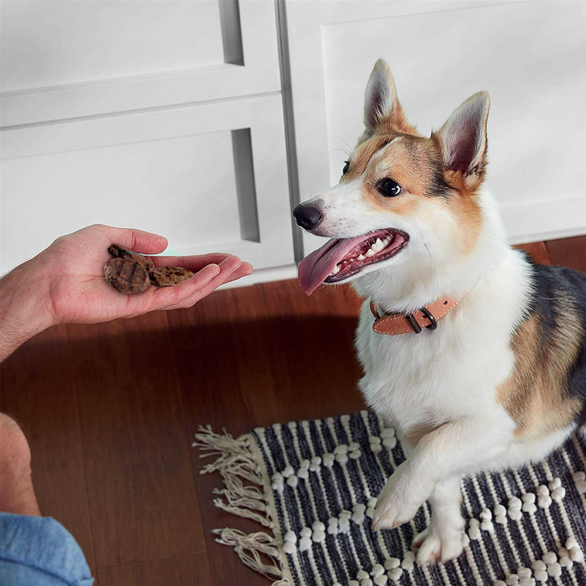 Dog Treats X40179