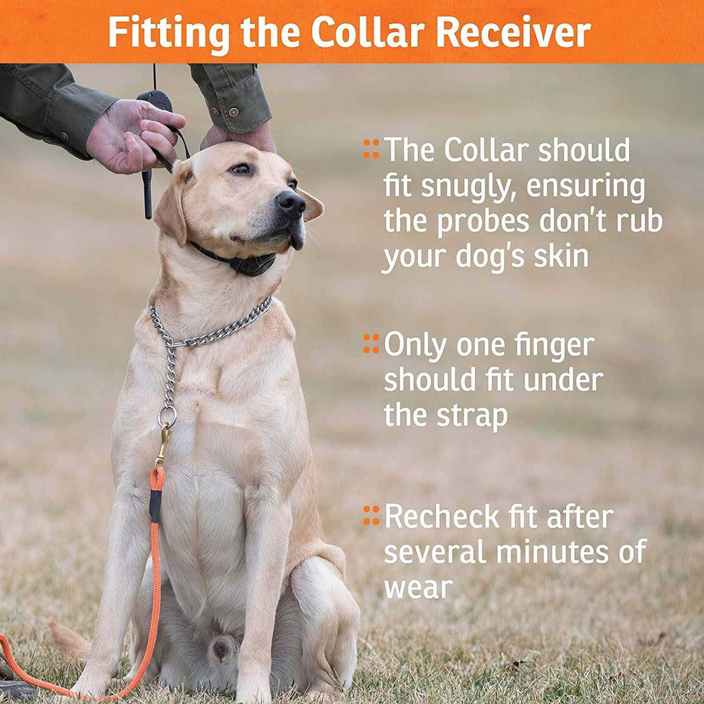 Add-A-Dog Collar I642