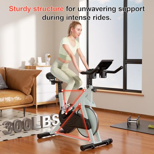 32-Level Magnetic Resistance Stationary Bike with 300lbs Weight Capacity X490