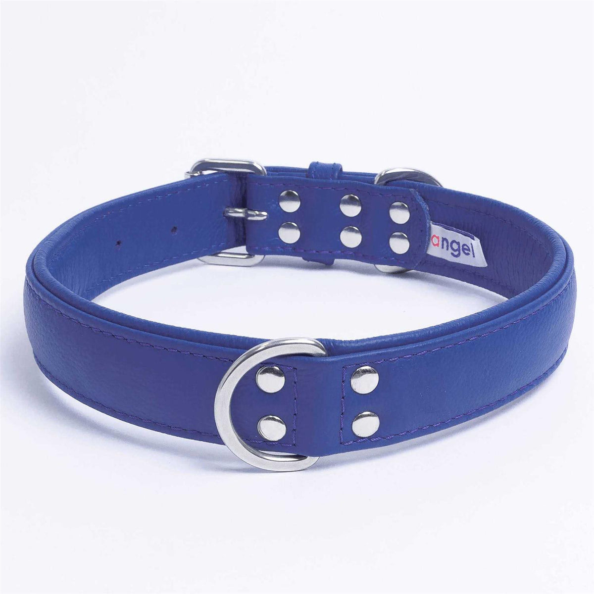 Dog Collar R452905