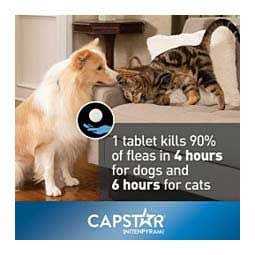 Flea Tablets for Dogs X1419