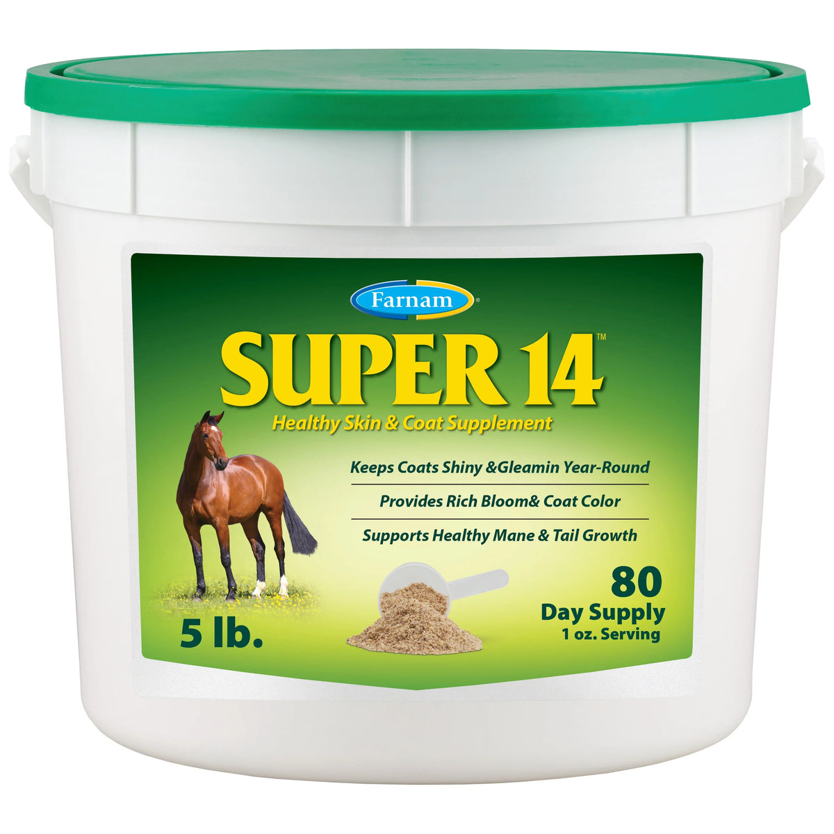 Horse Skin & Coat Supplement 5 Pound E97859