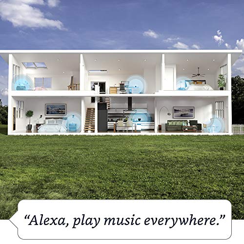 Charcoal Alexa Speaker Y927233