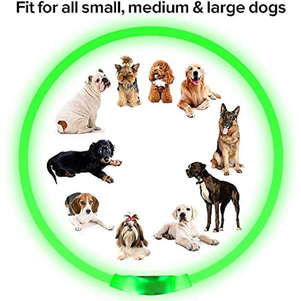 Light Rechargeable LED Dog Collar Q429054