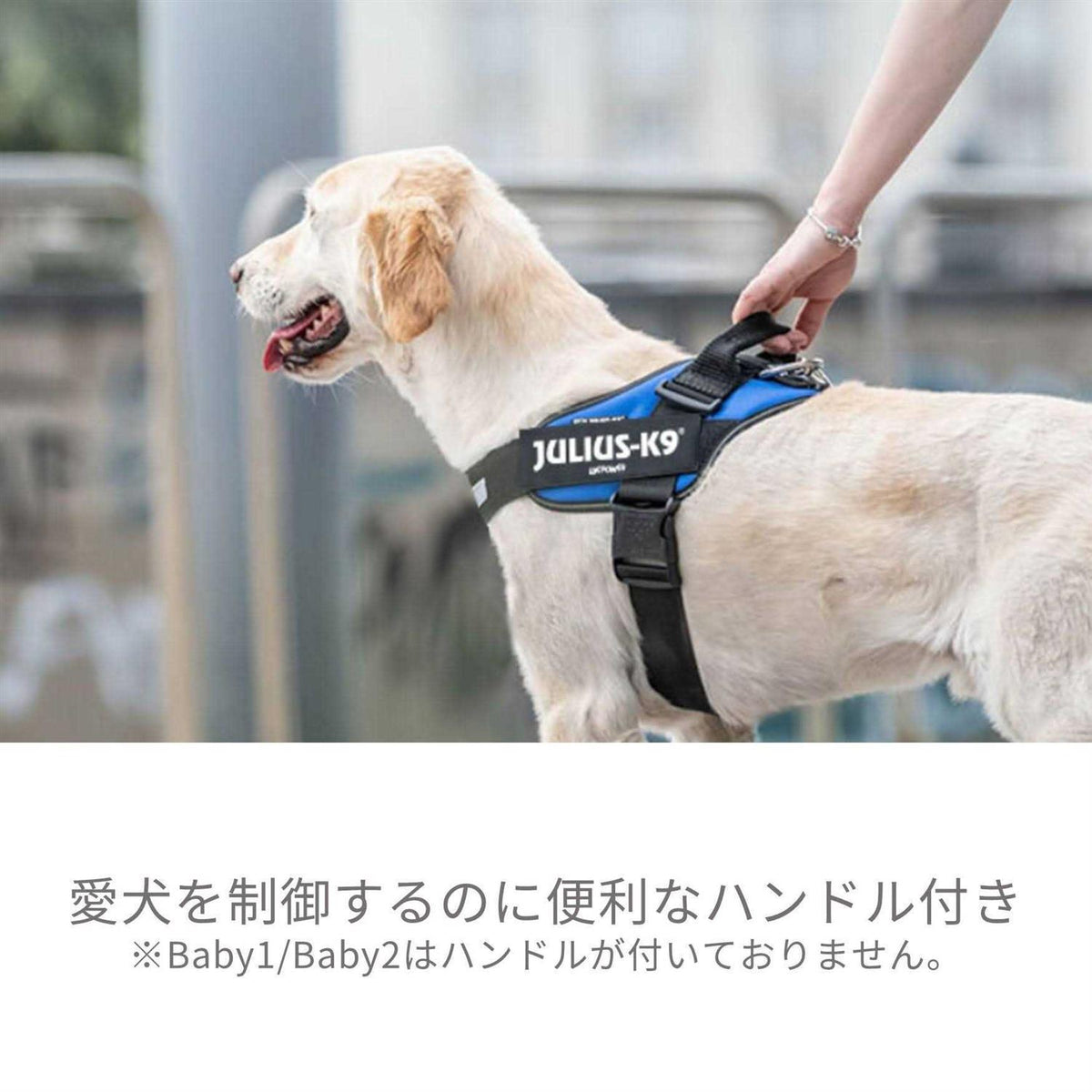 Powerharness C529