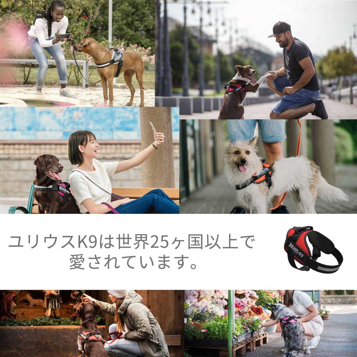 Powerharness C529
