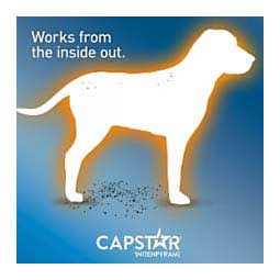 Flea Tablets for Dogs X1419