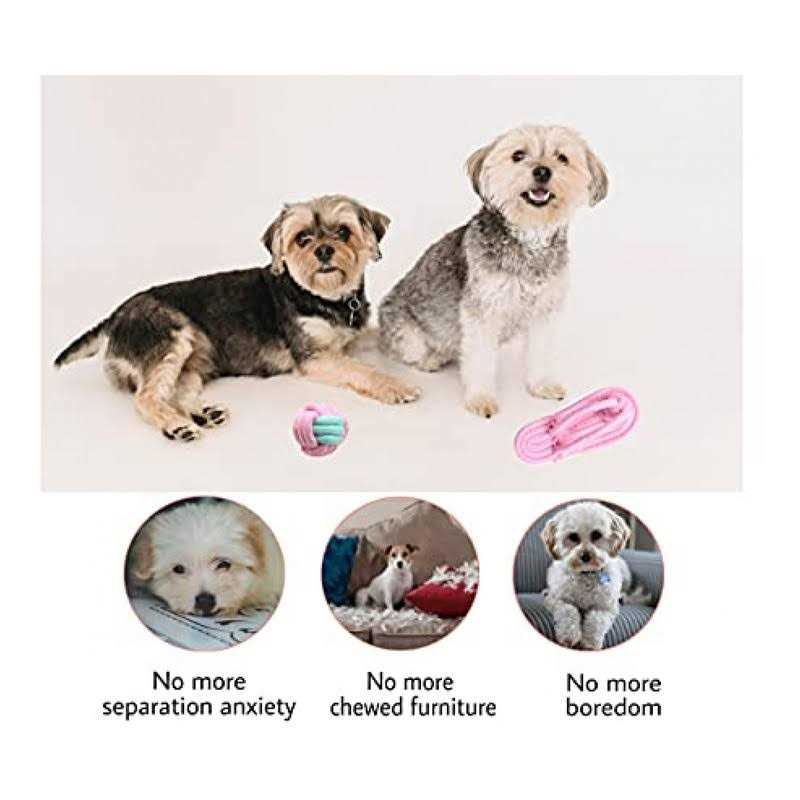 Dog Hanging Bungee Tug Toy Interactive Tether Tug-of-War I166193