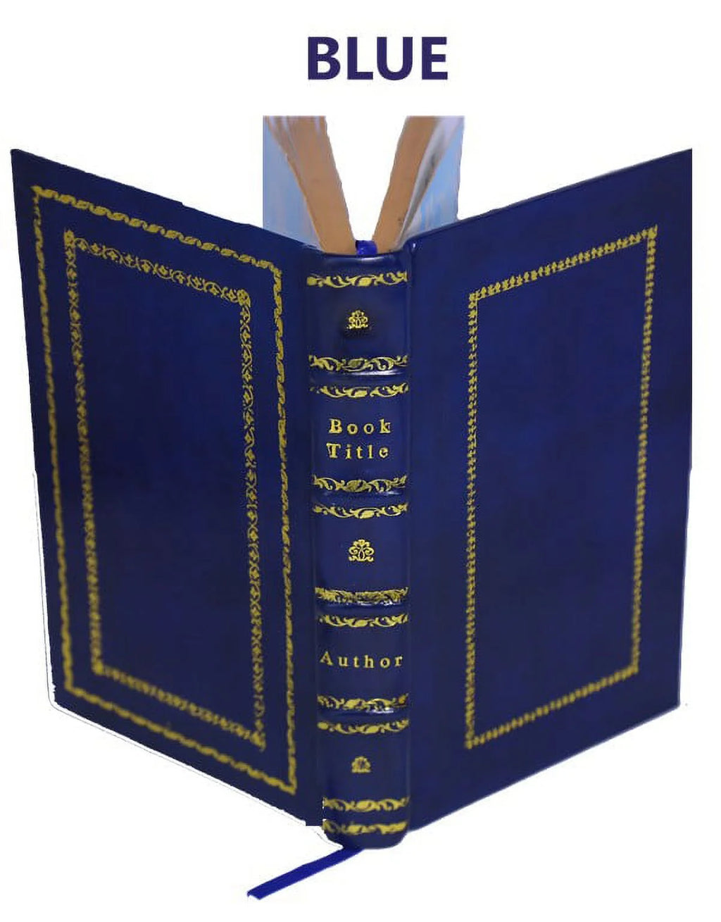 Statique expérimentale et théorique des liquides soumis aux seules forces moléculaires Volume 2 X4661