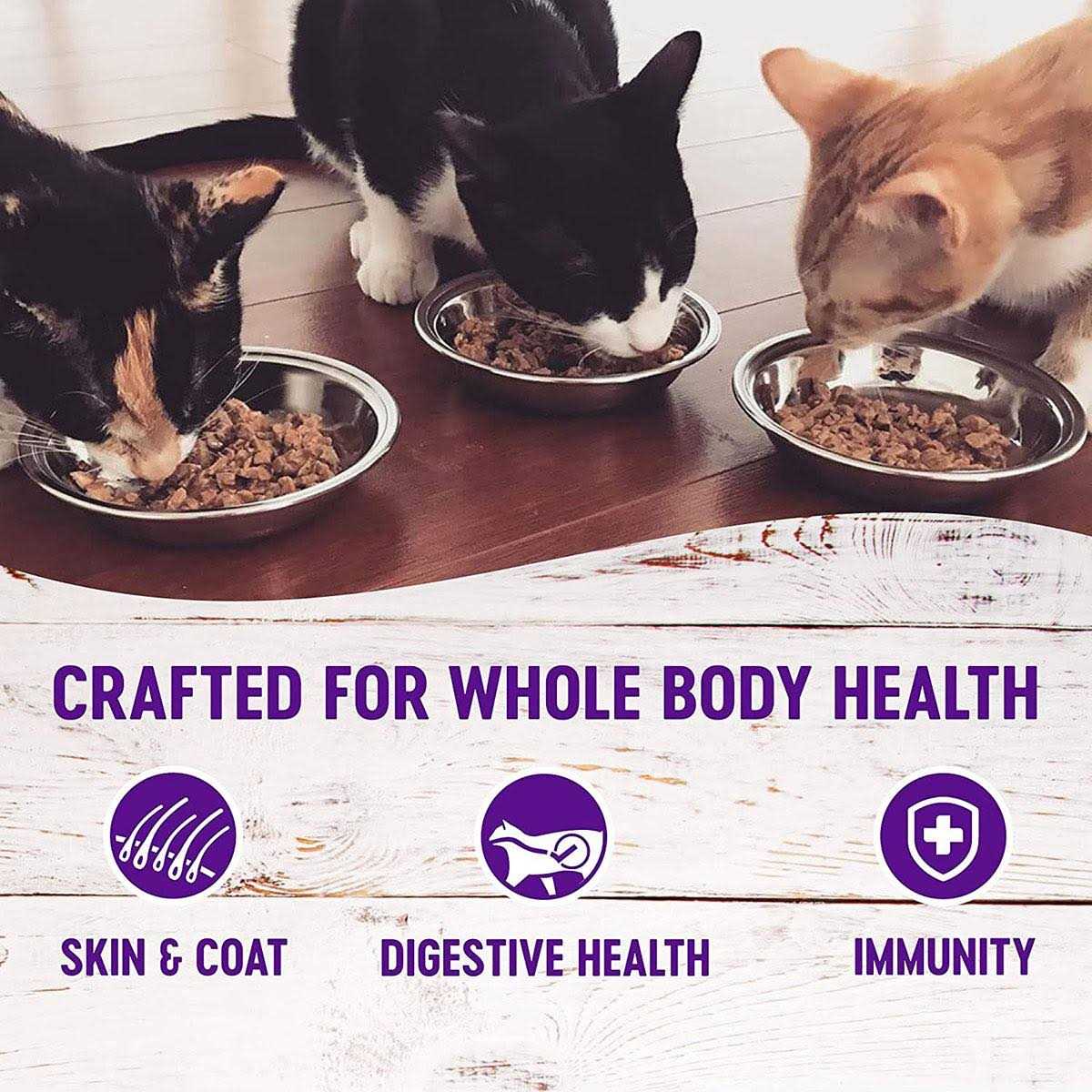 Cat Food O192