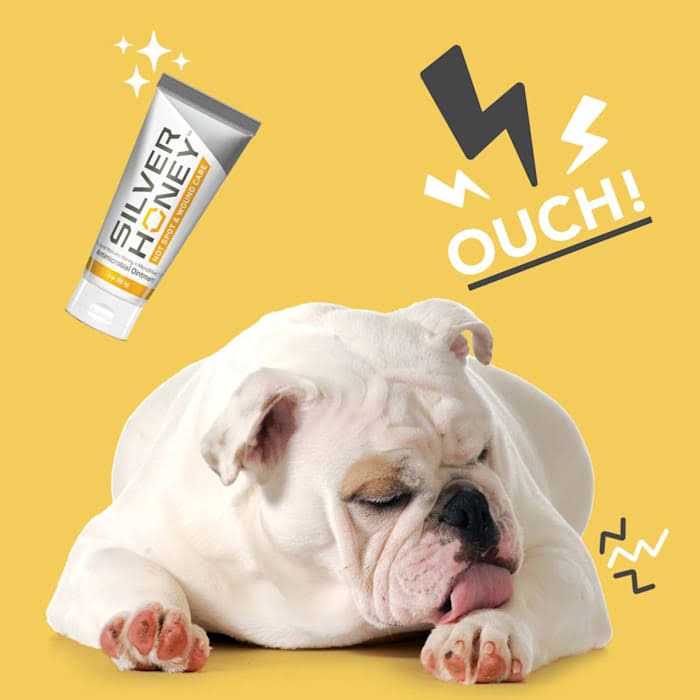 Hot Spot & Wound Care Ointment K646332