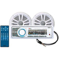 AM/FM/CD Receiver R297506