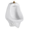 Wall Mount Urinal M4084