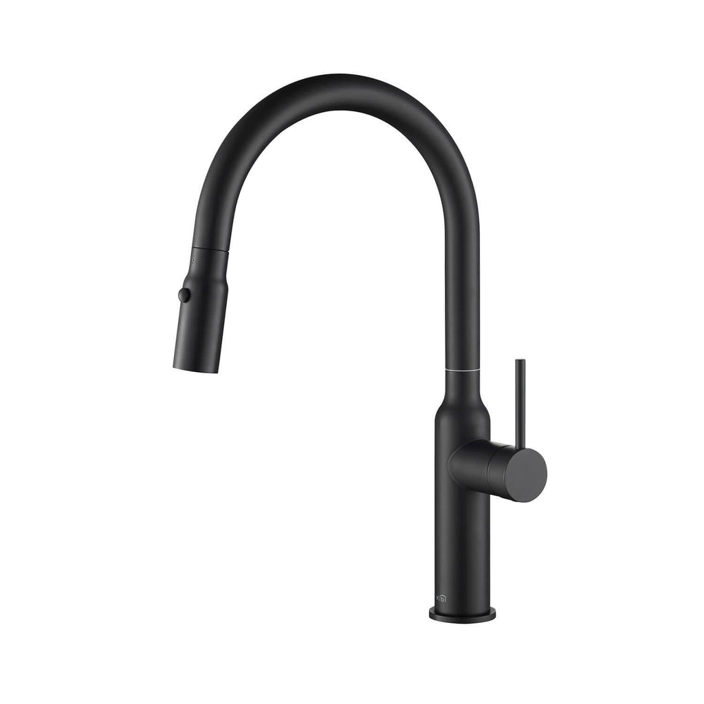 Black Single Level Kitchen Faucet with Sprayer Y741