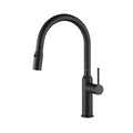 Black Single Level Kitchen Faucet with Sprayer Y741