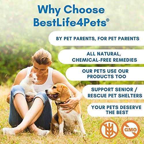 Holistic Ear Infection Treatment for Dogs and Cats U556